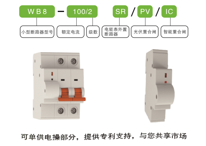 WB8-32/2SR電能表外置斷路器 電能表外置斷路器 電操機構
